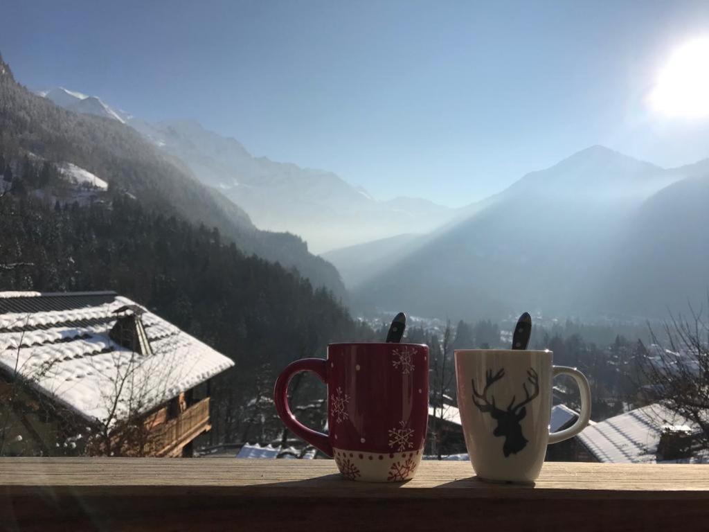 Chalet Du Grand Cerf Servoz Esterno foto