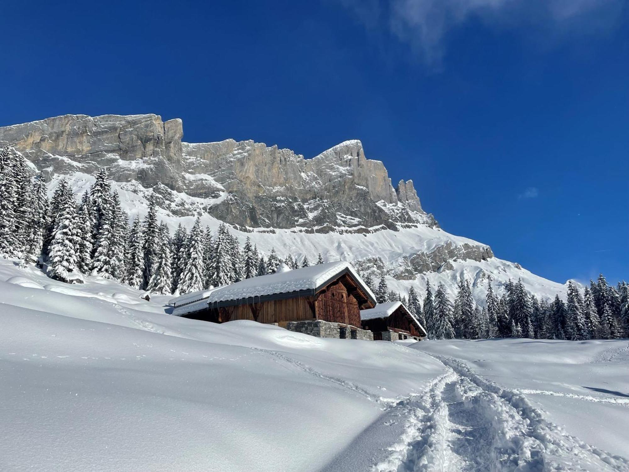 Chalet Du Grand Cerf Servoz Esterno foto